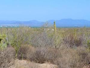 MLS #25-3674 image #0