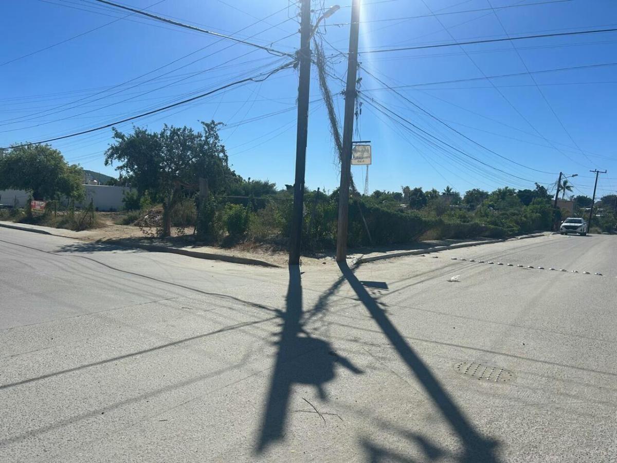 MLS #25-3709 image #0