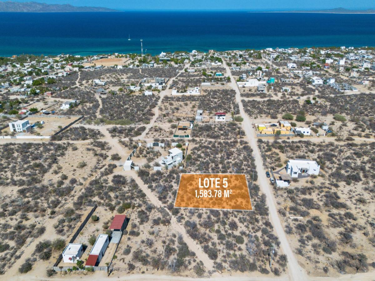 MLS #25-3759 image #0