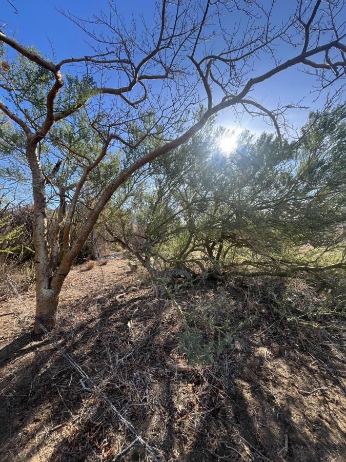 SN CALLE CHUREA LOT 39 La Paz BCS MLS #25-376 41 MLS #25-376 image #0