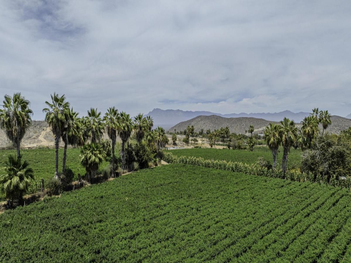 MLS #25-3793 image #0