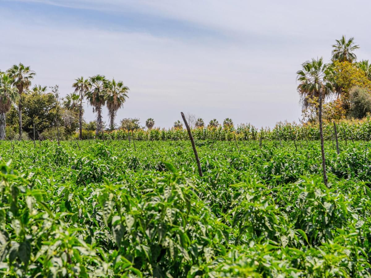 MLS #25-3794 image #0