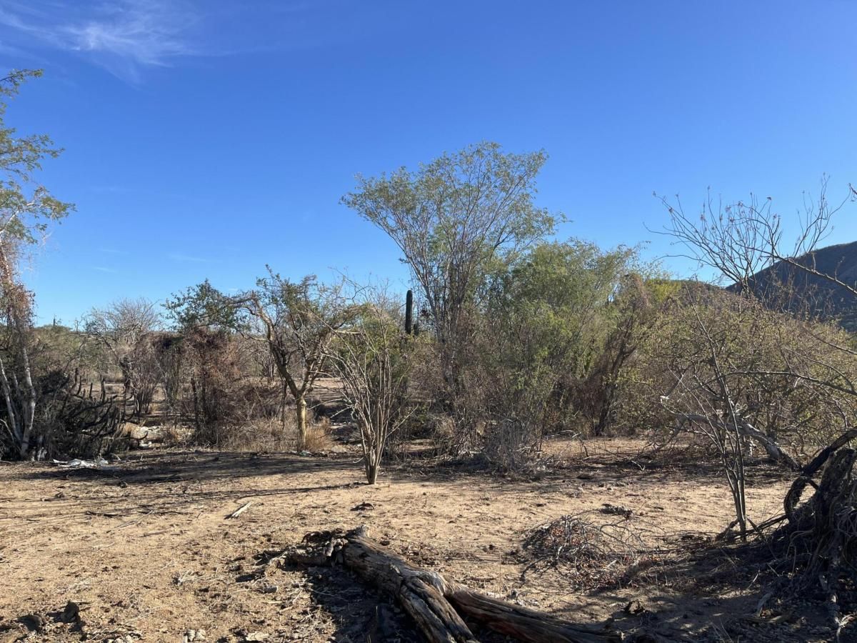 SN CALLE CHUREA LOT 36 La Paz BCS MLS #25-380 37 MLS #25-380 image #0