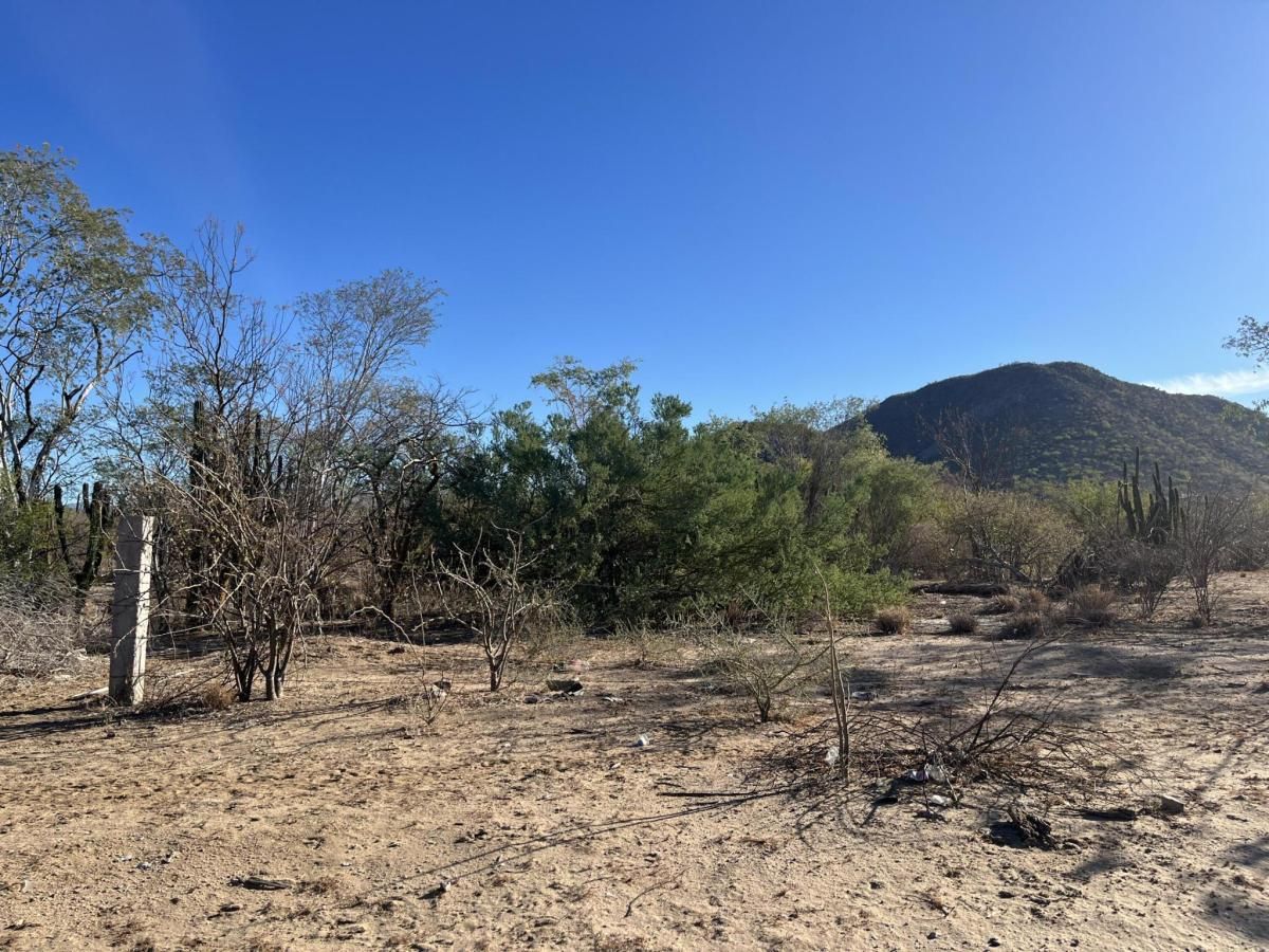 MLS #25-381 image #0