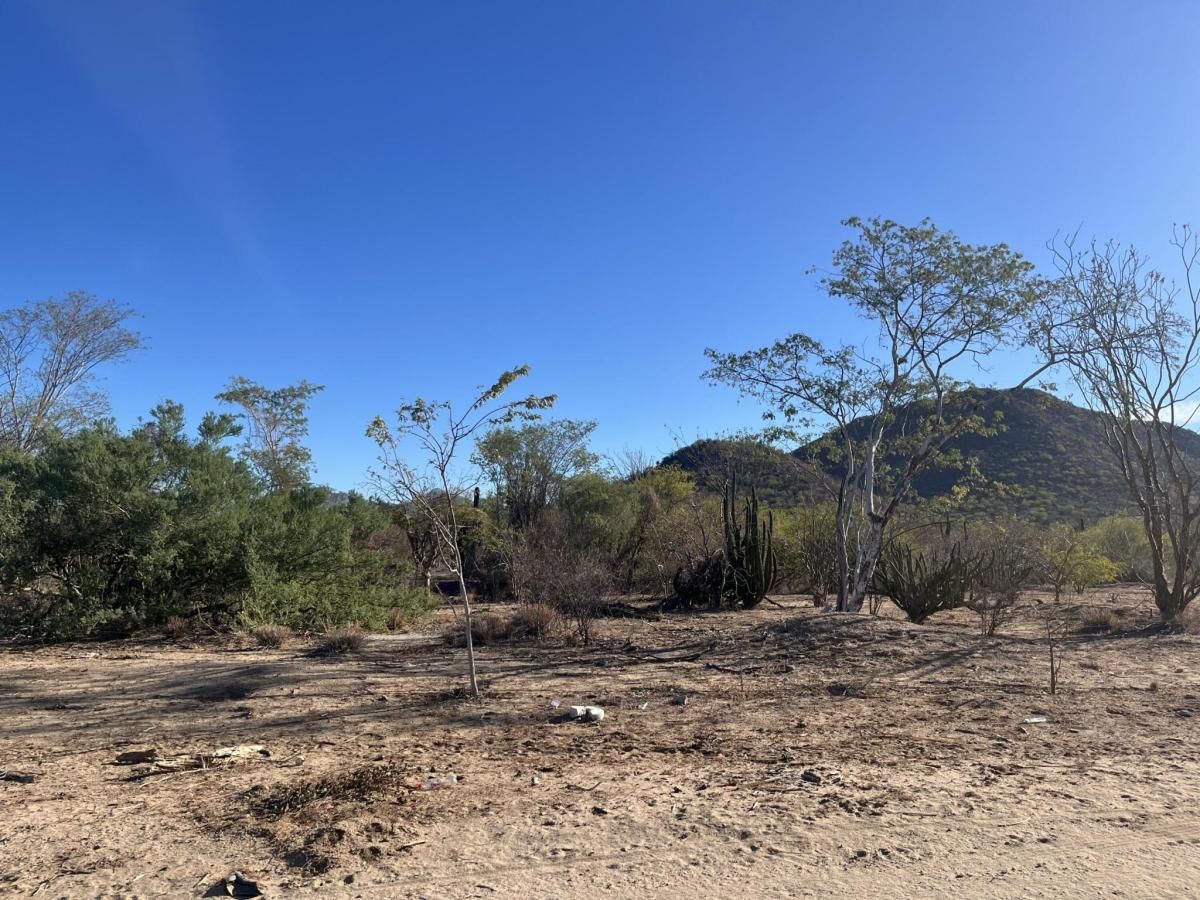 SN CALLE SIN NOMBRE LOT 32 CALAFIA La Paz BCS MLS #25-382 39 MLS #25-382 image #0