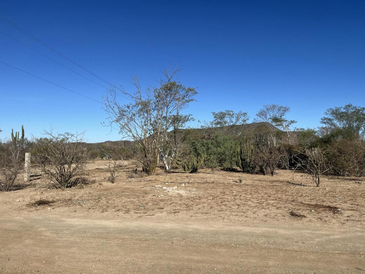 SN CALLE SIN NOMBRE LOT 31 CALAFIA La Paz BCS MLS #25-383 41 MLS #25-383 image #0