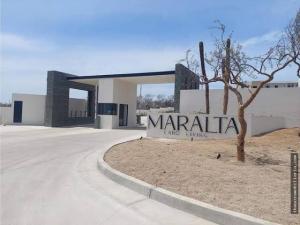 MLS #25-3868 image #0