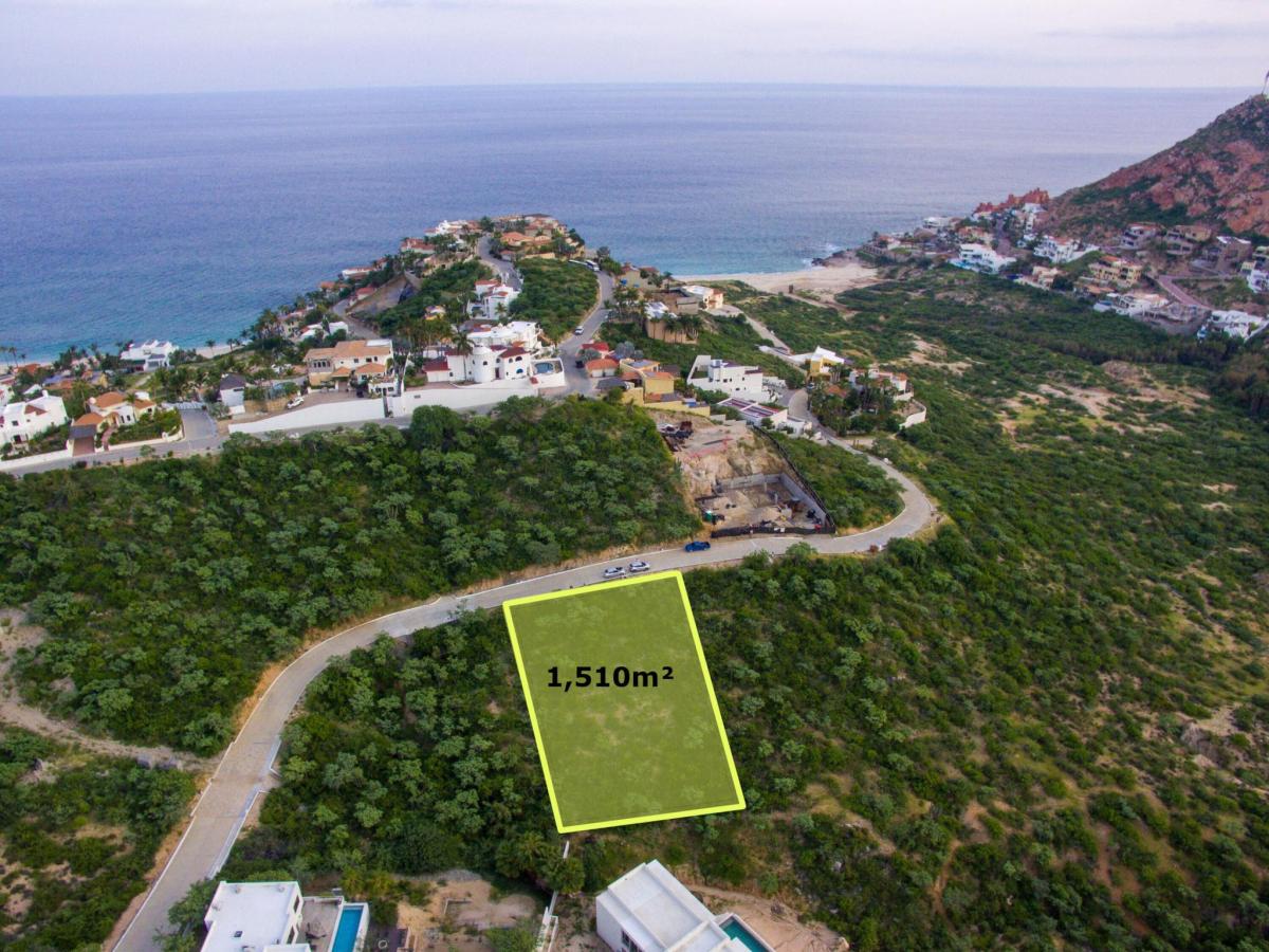 MLS #25-3881 image #0