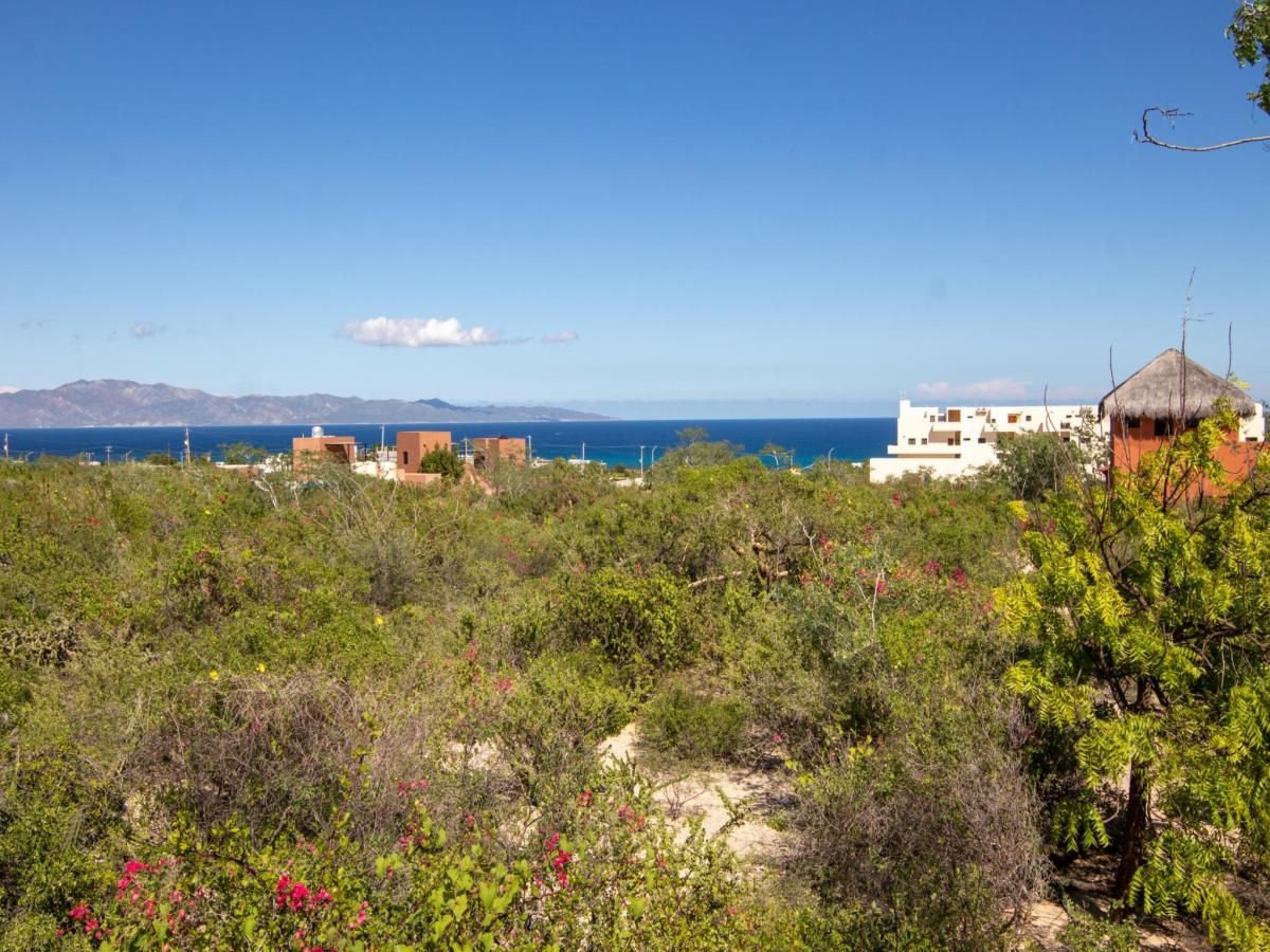 MLS #25-3936 image #0