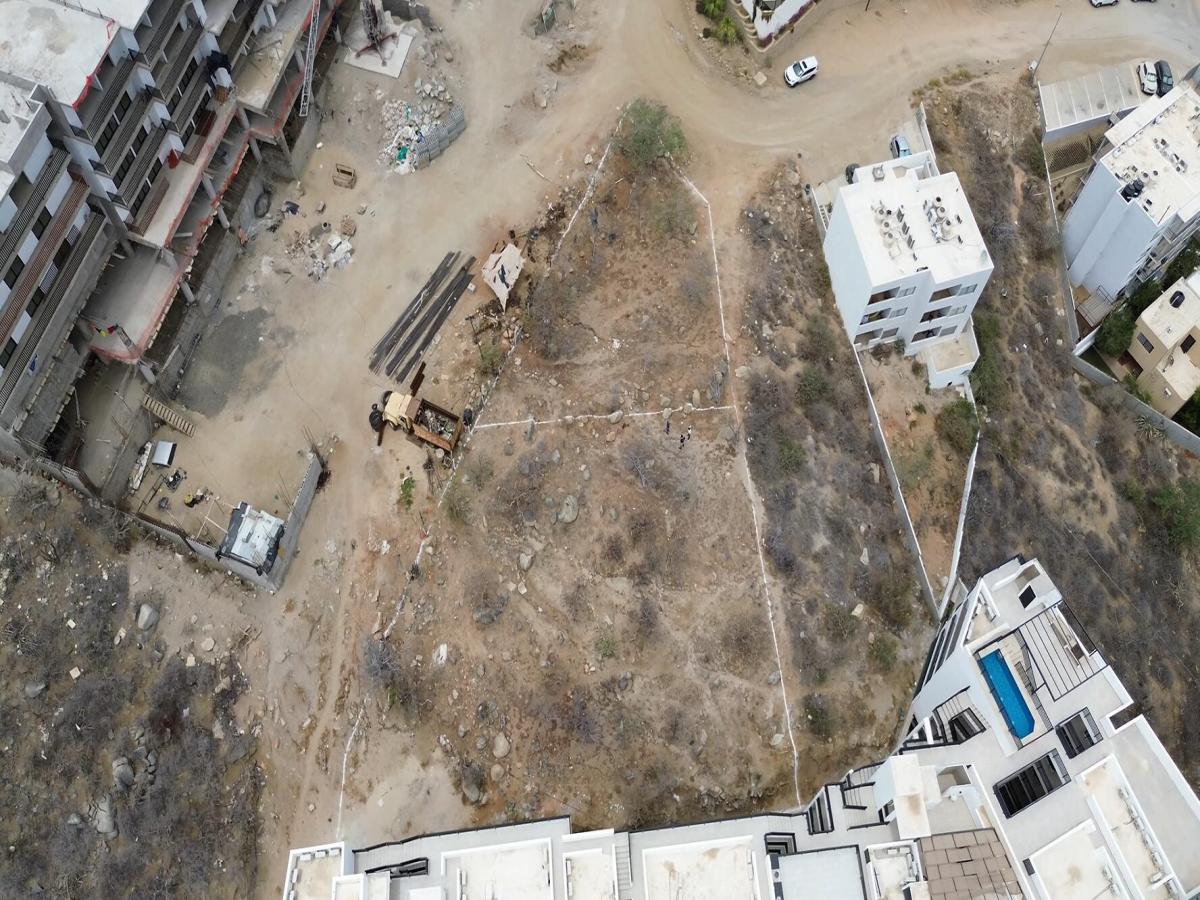 MLS #25-3937 image #0