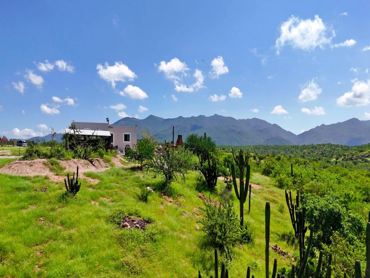 MLS #25-3988 image #0