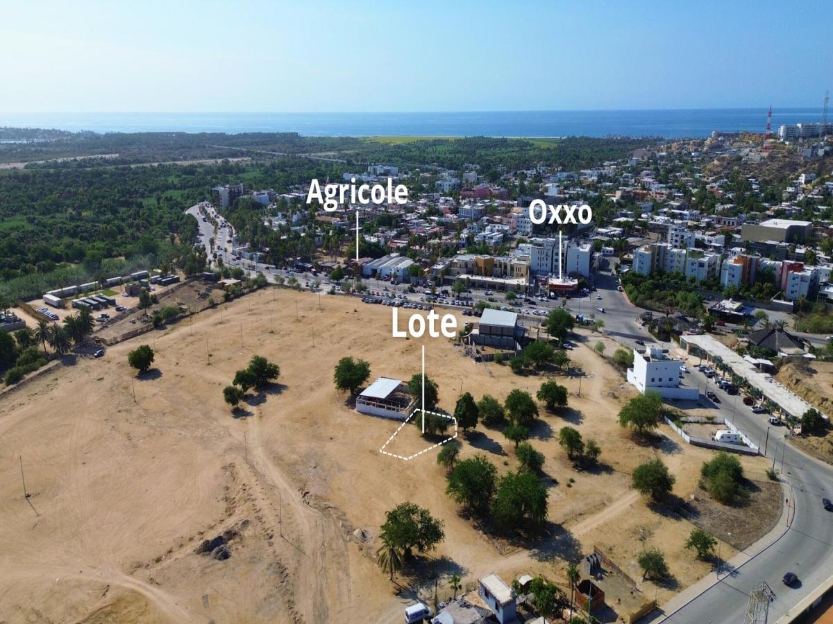 MLS #25-3994 image #0