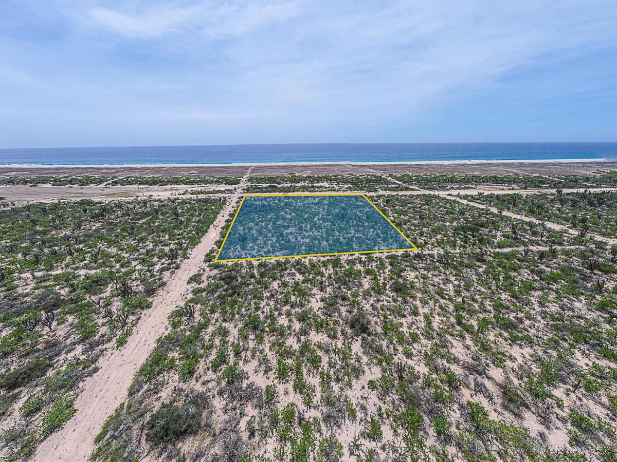 MLS #25-4007 image #0