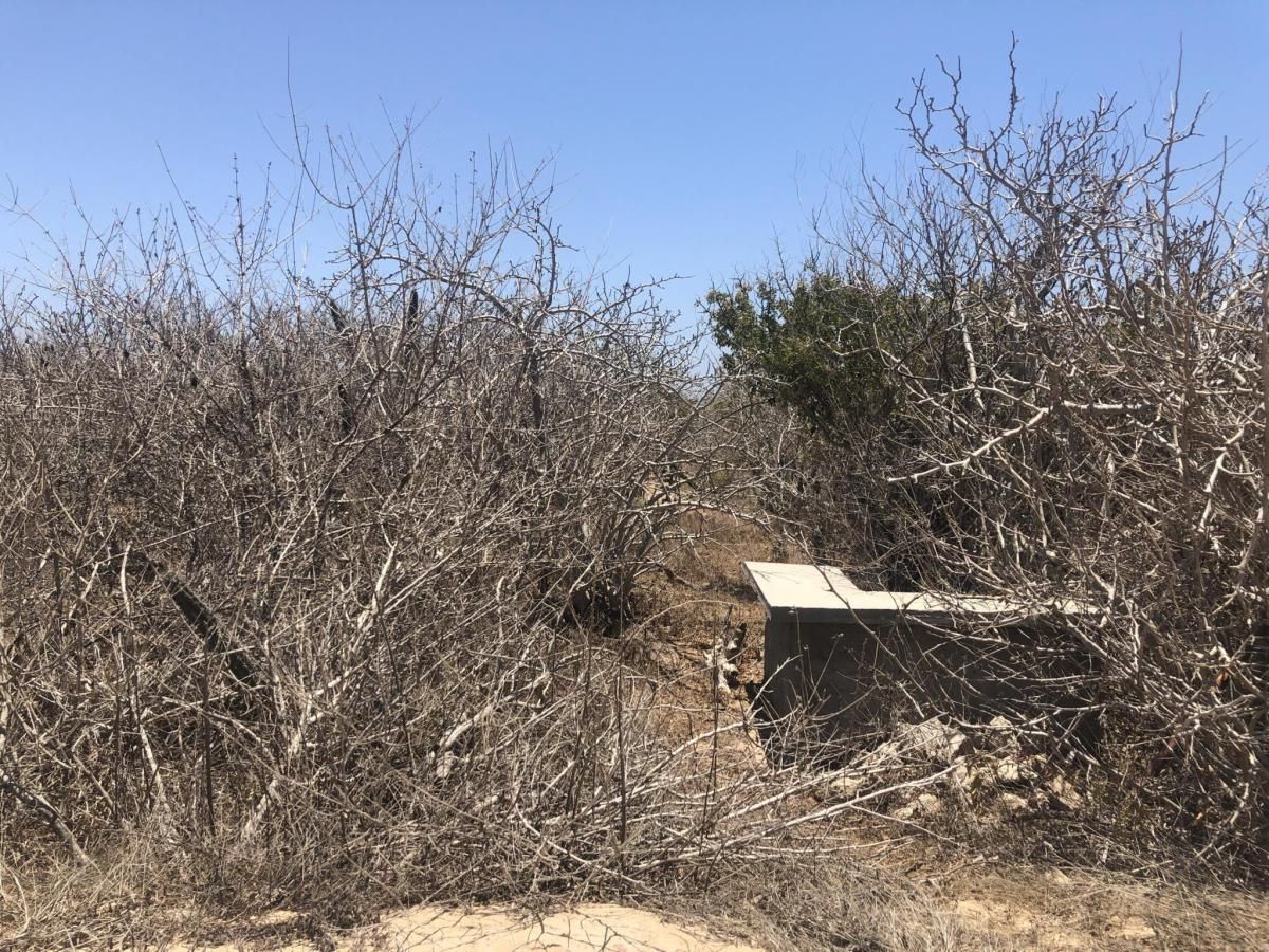 MLS #25-4047 image #0