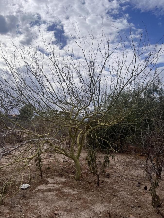 MLS #25-4093 image #0