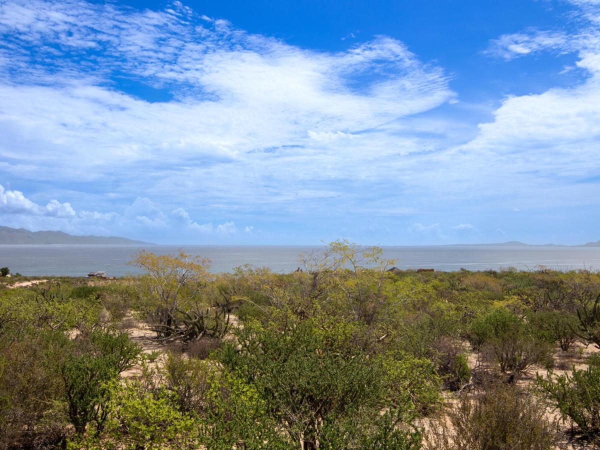 MLS #25-4194 image #0