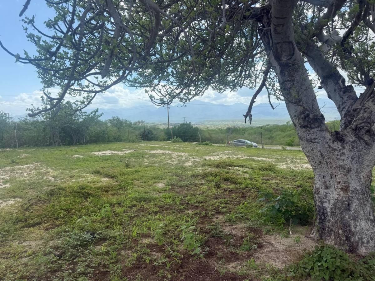 MLS #25-4200 image #0