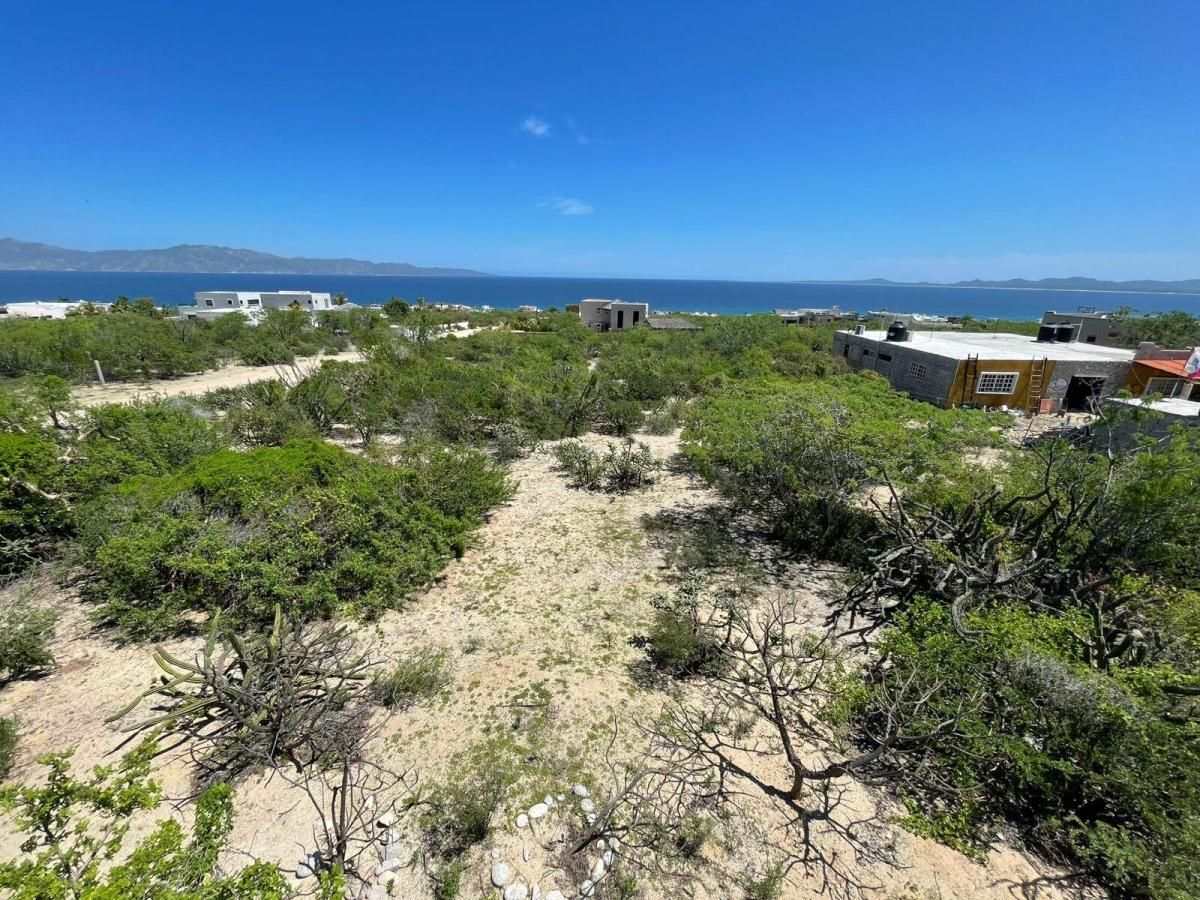 MLS #25-4221 image #0