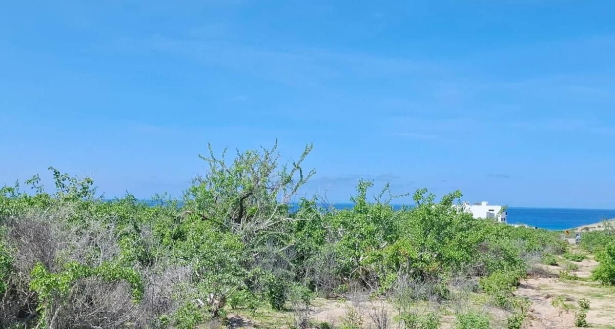 MLS #25-4249 image #0