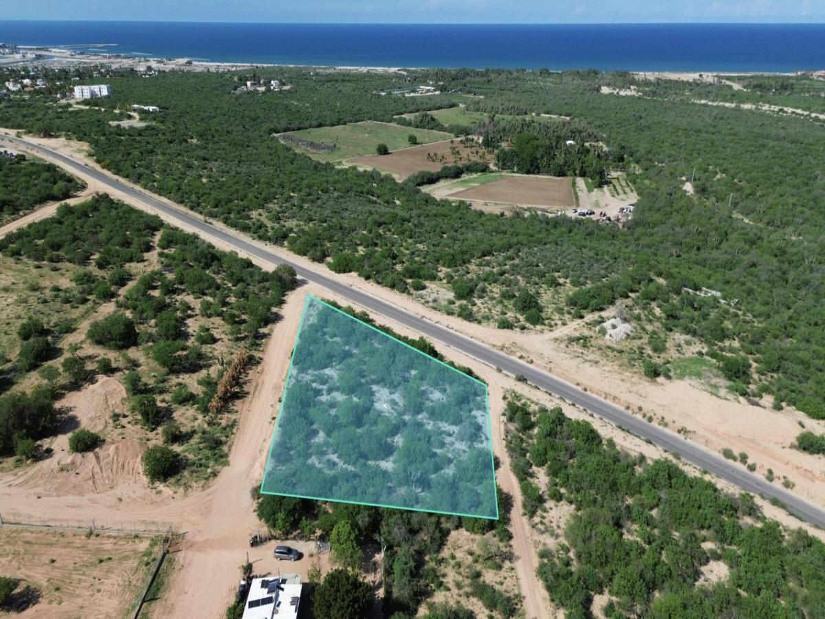 MLS #25-4260 image #0