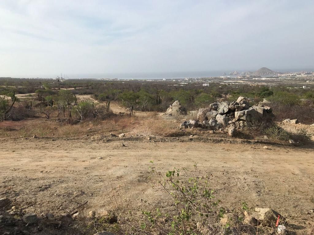 MLS #25-4279 image #0