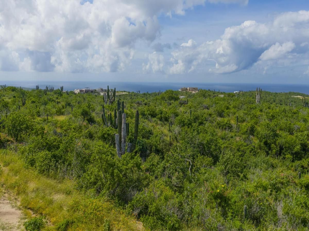 MLS #25-4330 image #0