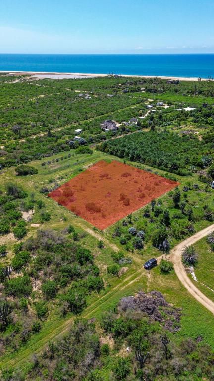 MLS #25-4363 image #0