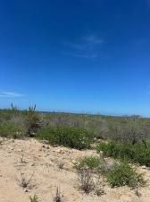 MLS #25-4410 image #0