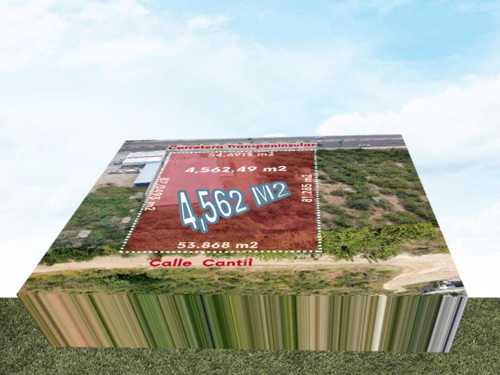 MLS #25-4424 image #0