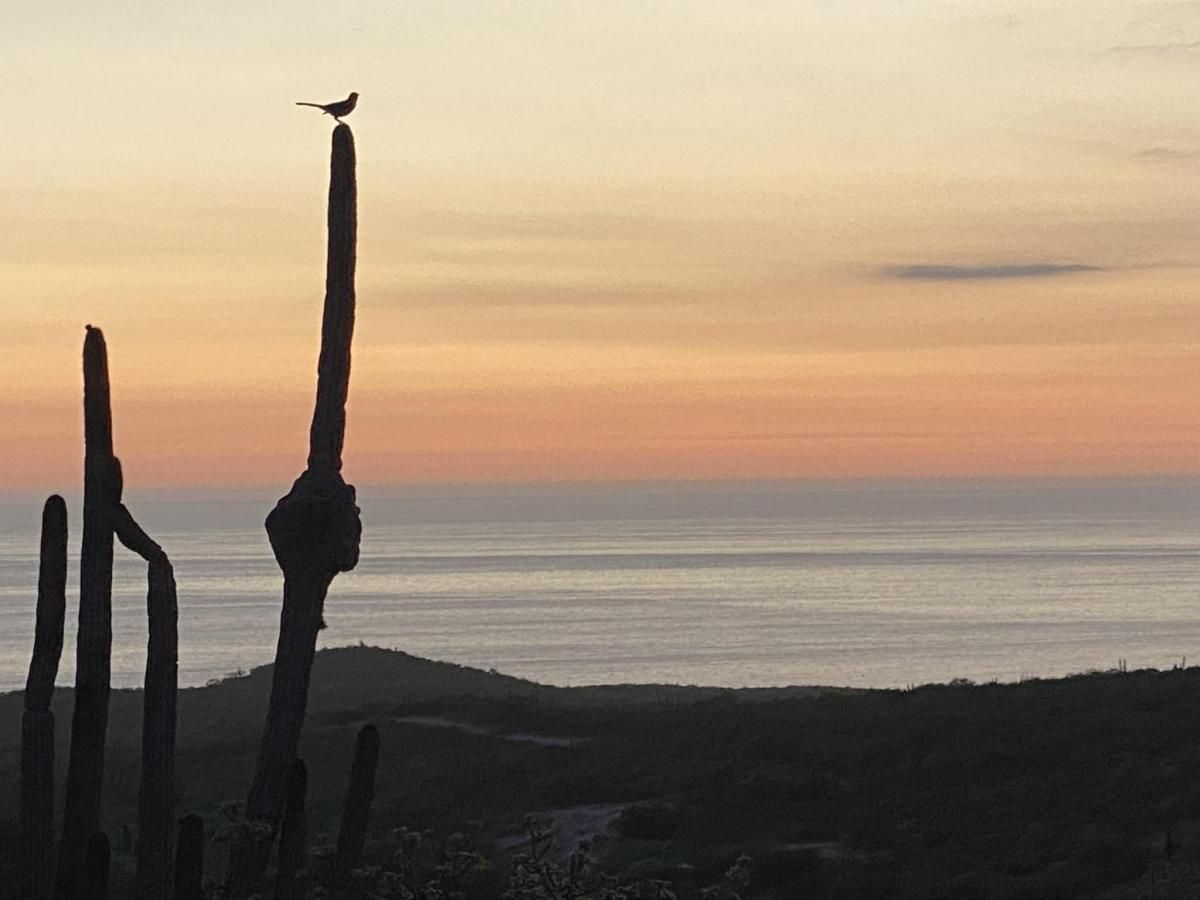 MLS #25-4466 image #0