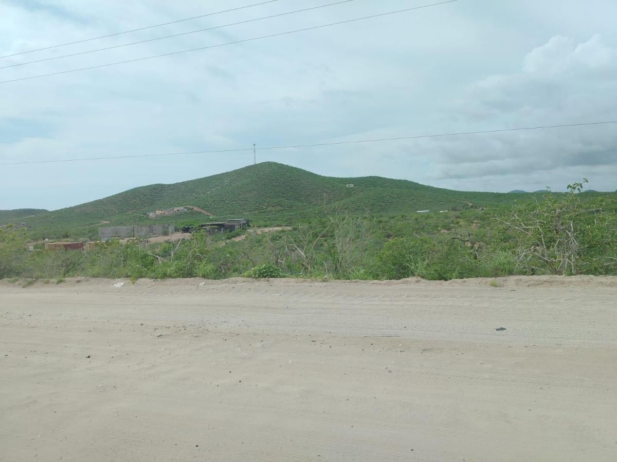 MLS #25-4502 image #0