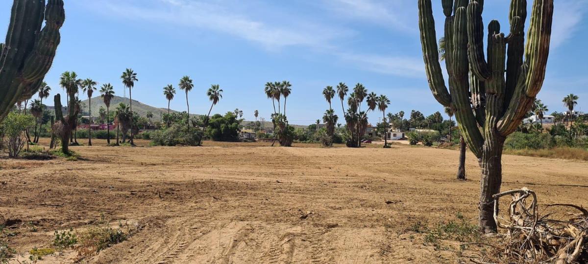 MLS #25-4569 image #0