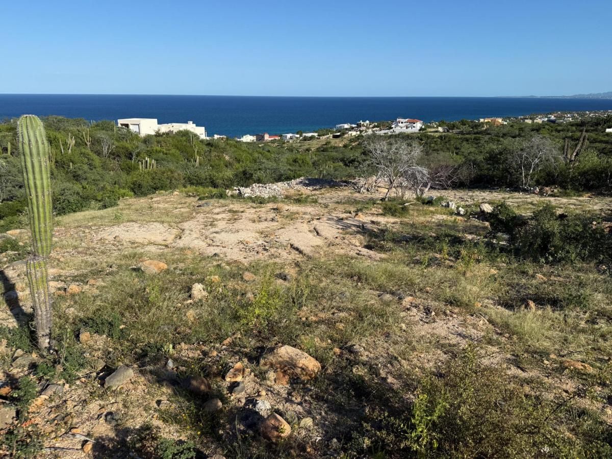 MLS #25-4610 image #0