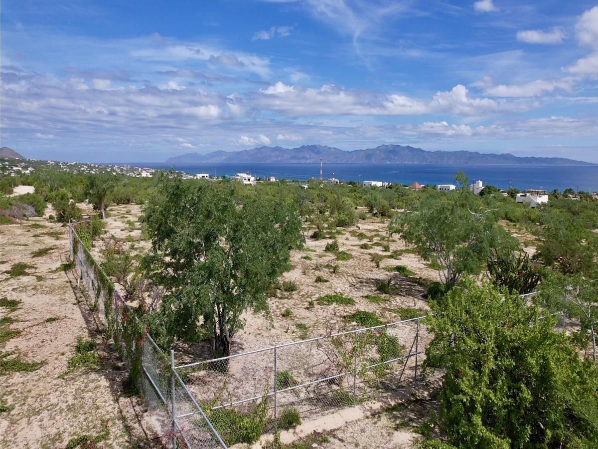 MLS #25-4616 image #0