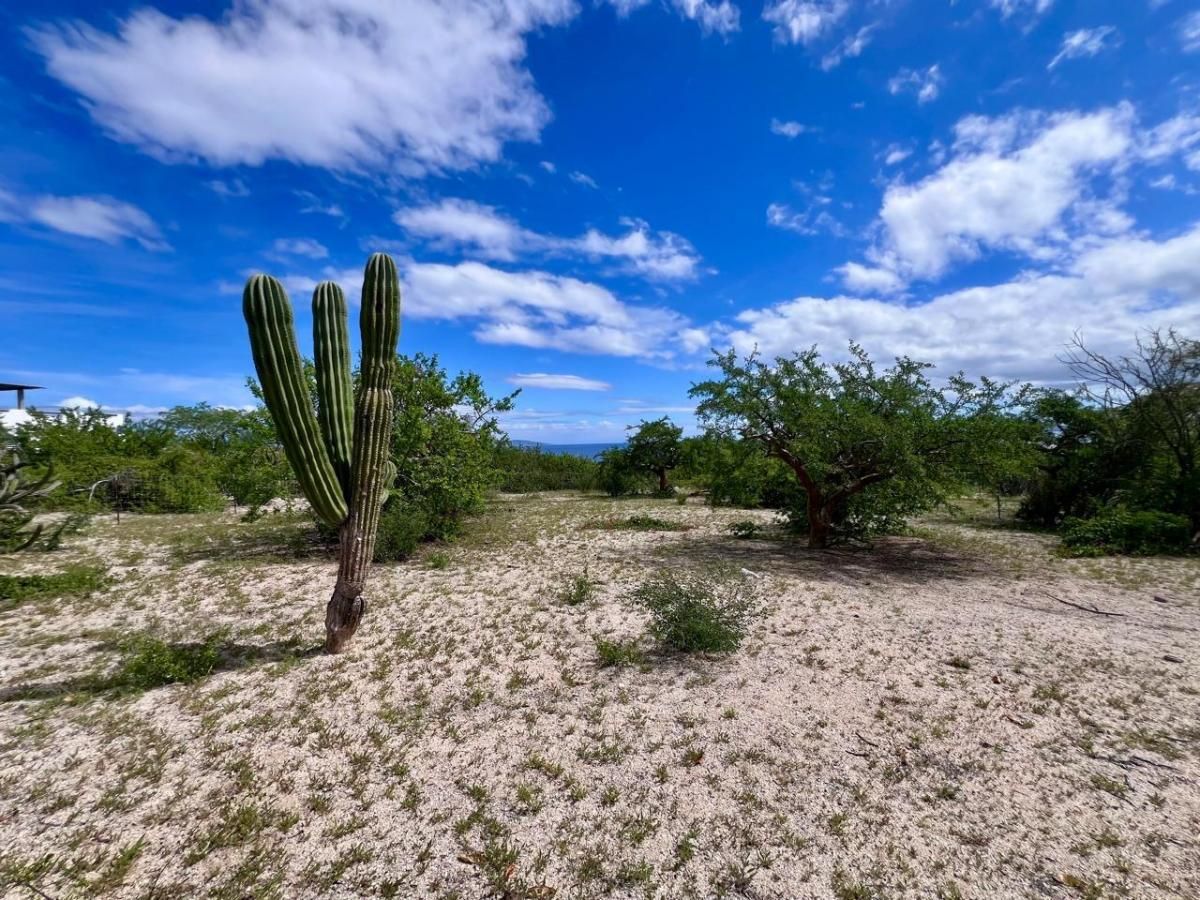 MLS #25-4631 image #0