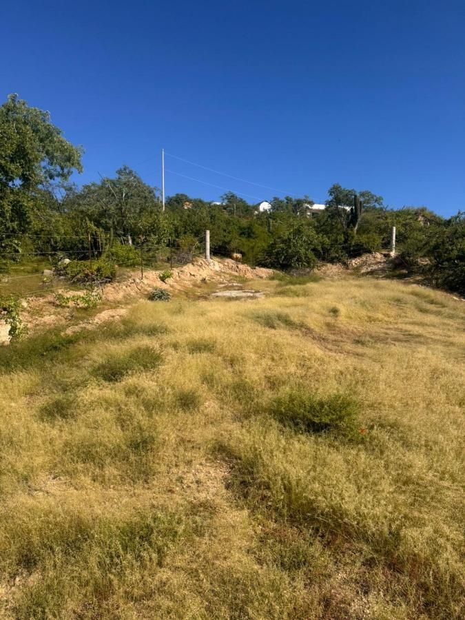 MLS #25-4644 image #0