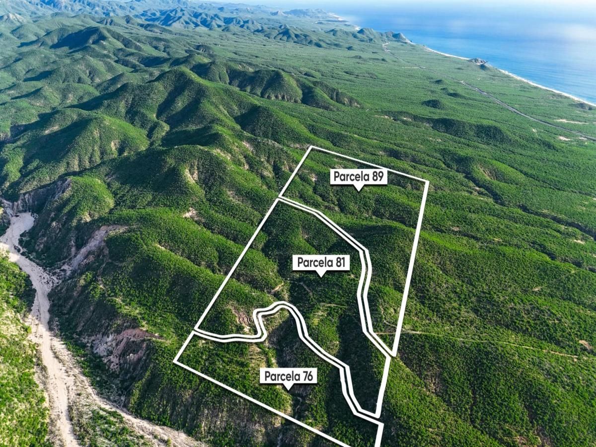 MLS #25-4674 image #0