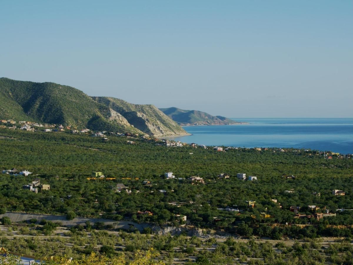 MLS #25-4736 image #0