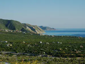 Lisa's Beach Lot East Cape BCS MLS #23-3847 54 broker reciprocity