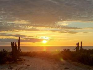 MLS #25-4820 image #0