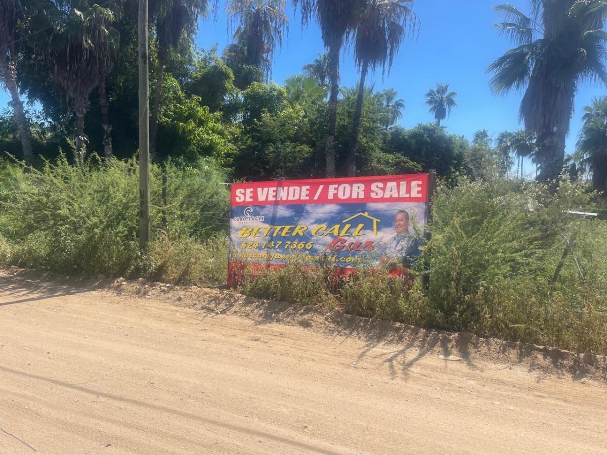 MLS #25-4836 image #0