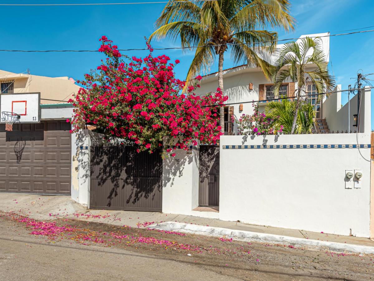 MLS #25-4866 image #0