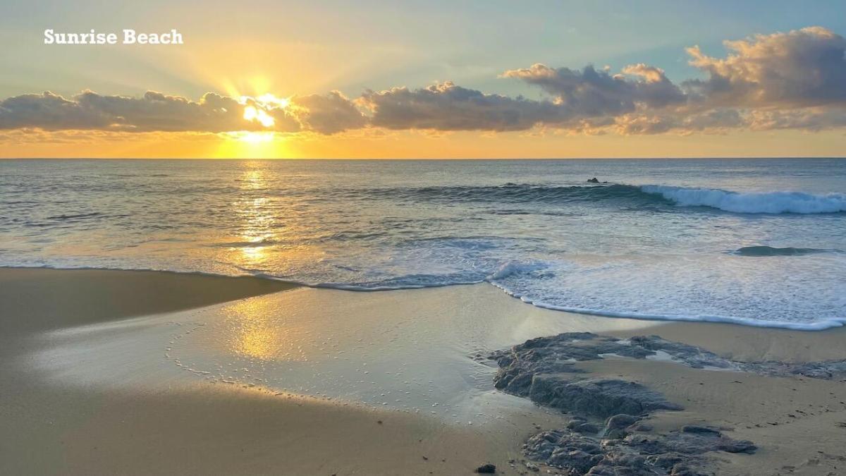 MLS #25-4874 image #0