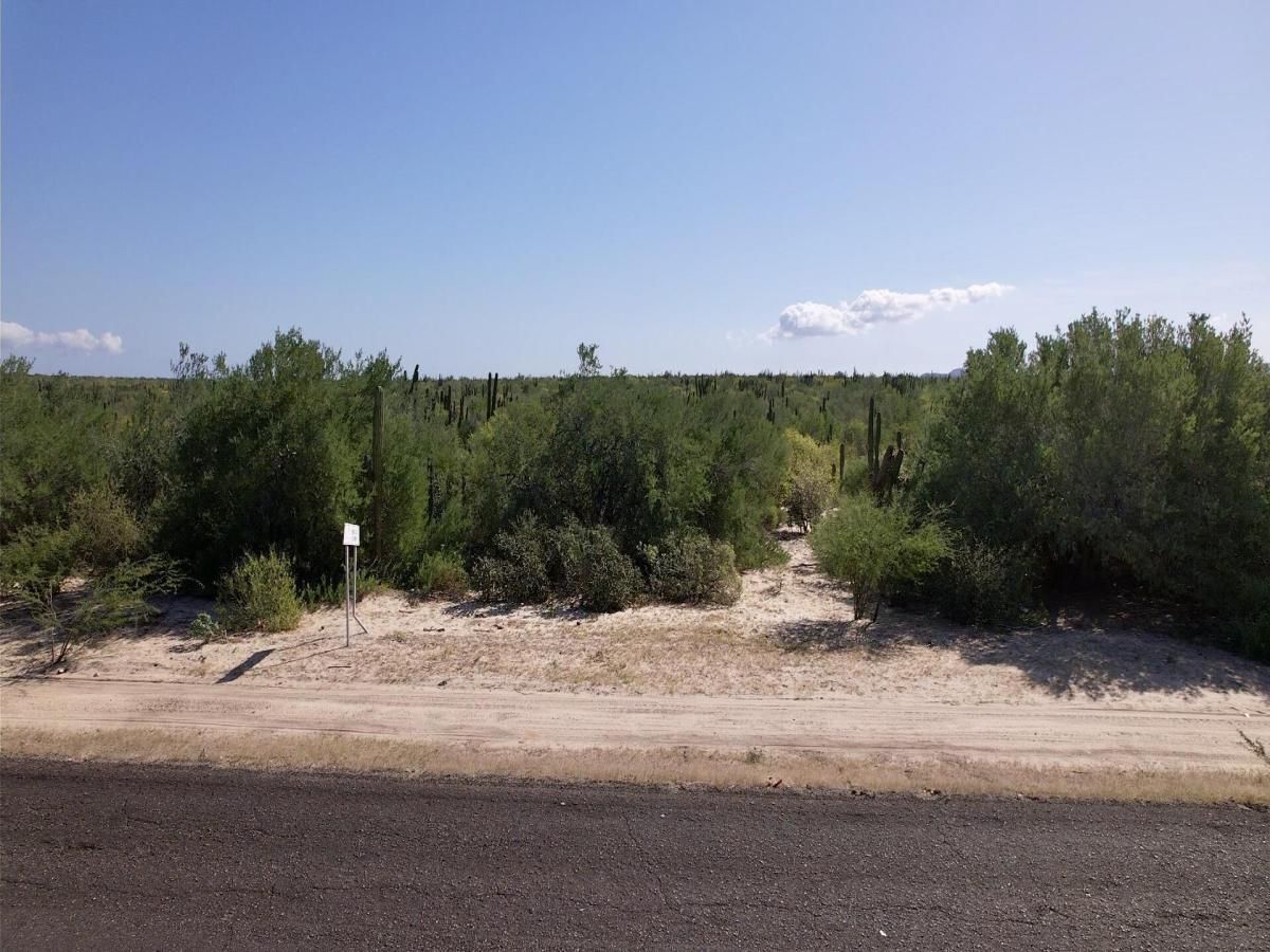 MLS #25-4875 image #0