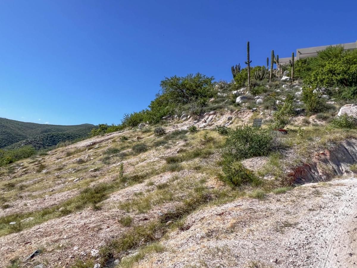 MLS #25-4882 image #0