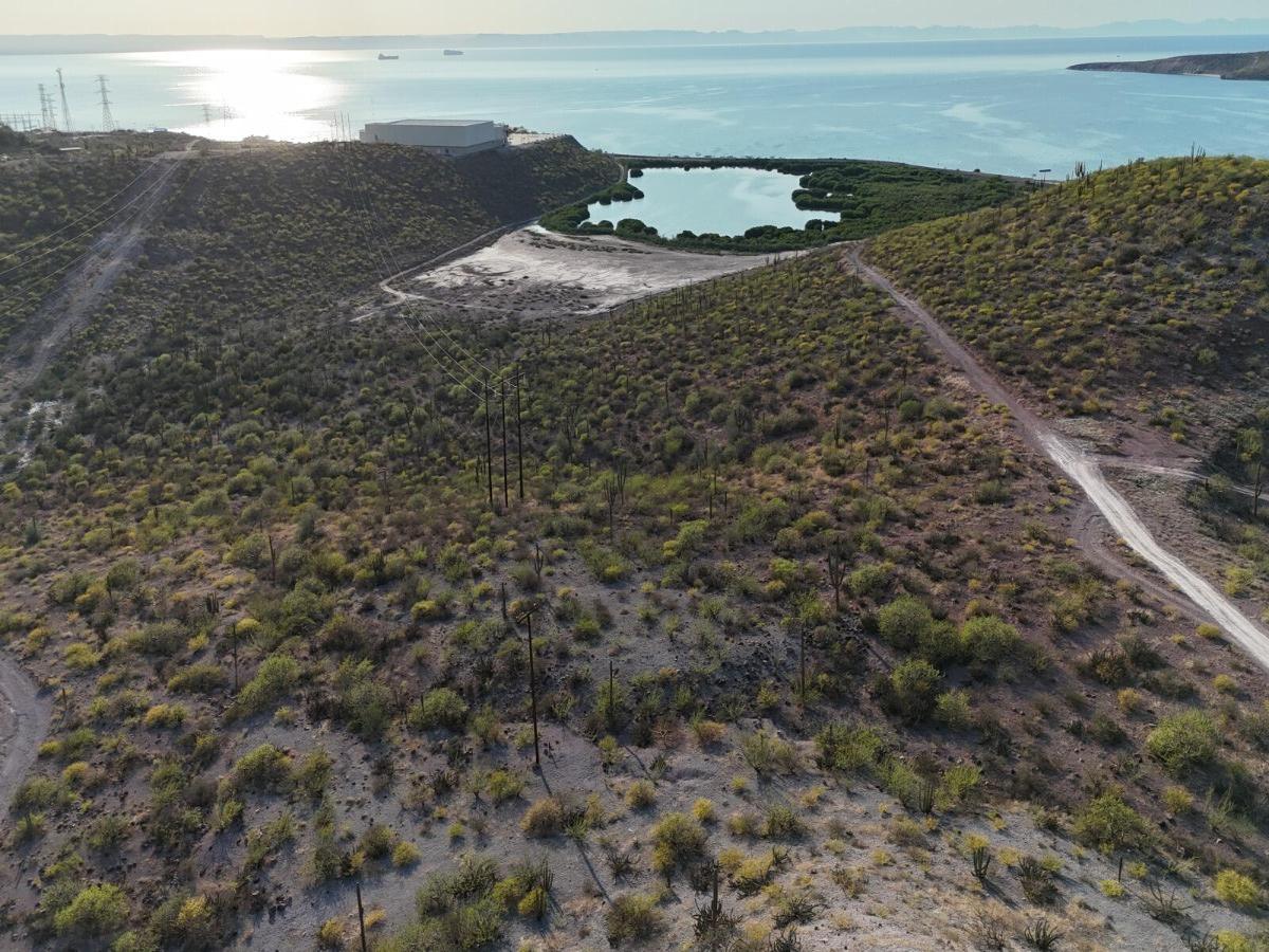 Vista Bravi Lote 8 La Paz BCS MLS #25-4885 37 MLS #25-4885 image #0