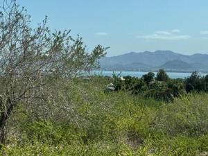 MLS #25-4888 image #0