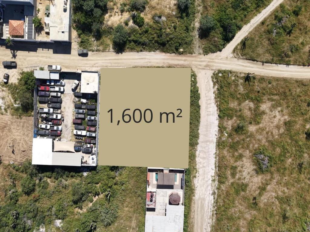 MLS #25-4902 image #0