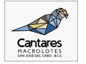 MLS #25-4909 image #0