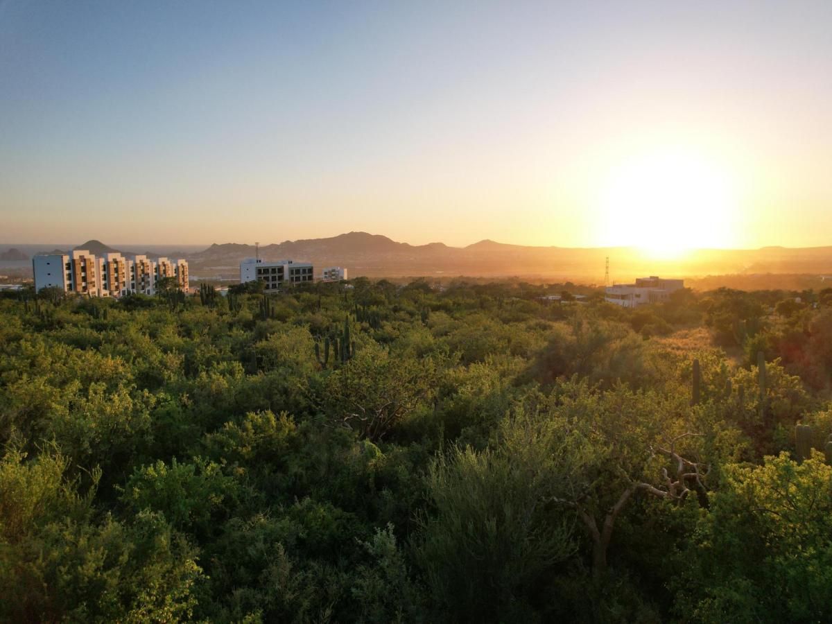 MLS #25-4926 image #0